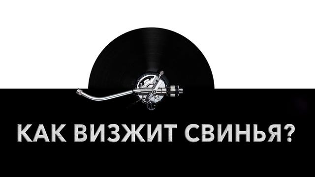 Как визжит свинья? ? Звук визжащей свиньи и какие звуки издает свинья