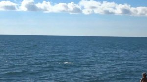 Сочи Лазаревское В октябре еще можно загорать и купаться