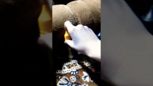 мои припасы для чарон бейби (Charon baby)