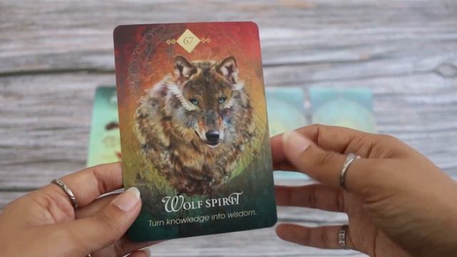 Spirit Animal Oracle for September 2021! | Pick a Card!✨ смотреть онлайн