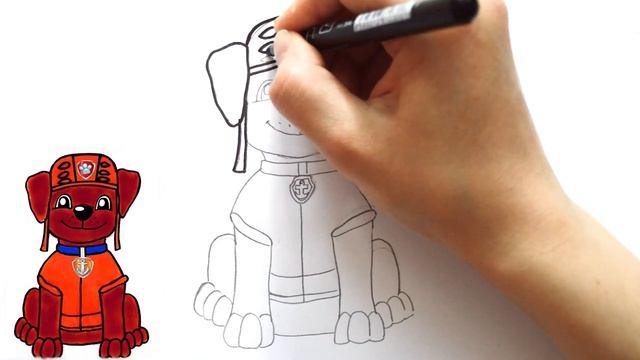 Как нарисовать щенка ЗУМУ из мультика ЩЕНЯЧИЙ ПАТРУЛЬ. How to draw ZUMA Paw Patrol characters смотреть онлайн