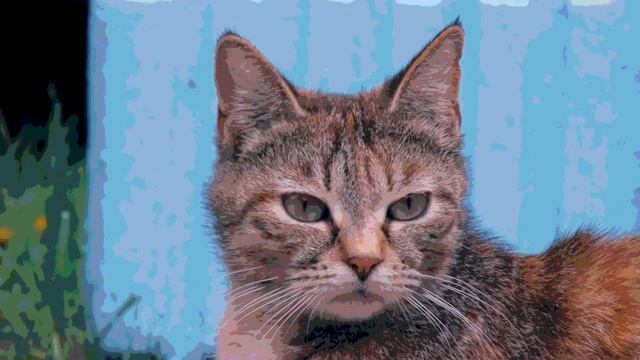 Зорюшка - На печи смотреть онлайн