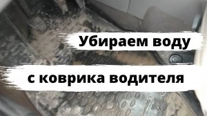 Как убрать воду с ковриков автомобиля?