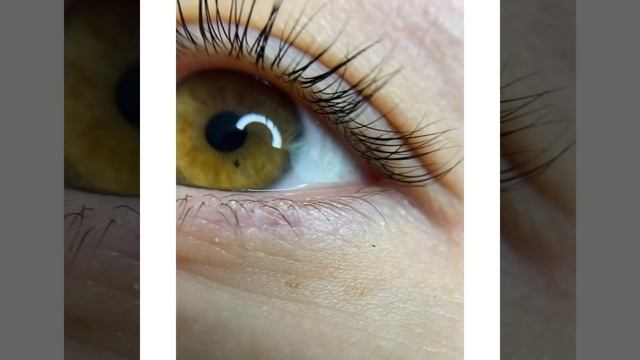 Ламинирование ресниц смотреть онлайн