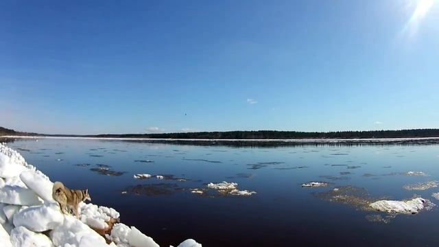 Ледоход на Вычегде 2020год. смотреть онлайн