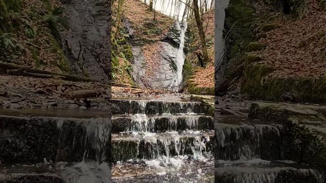 Водопад в Лесу