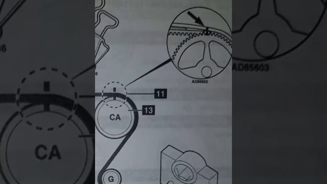 RENAULT TWINGO 1.2; CLIO 1.2; KANGOO 1.2 УСТАНОВКА ЗАЖИГАНИЯ МЕТКИ ГРМ смотреть онлайн