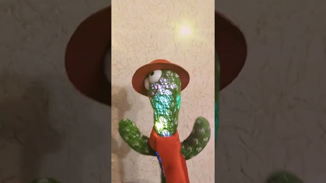 Танцующий Кактус  Dancer Cactus