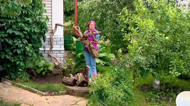 Сад корней - рутарий - 7 дач смотреть онлайн