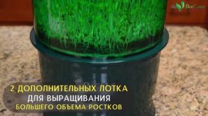 Автоматический проращиватель Tribest Freshlife 3000. Как он работает?