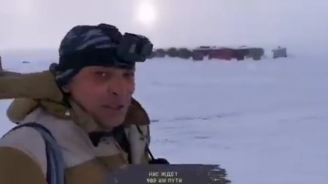 В московский зоопарк привезли  белого медвежонка.