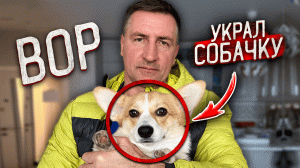 ОН УКРАЛ НАШУ СОБАКУ ! Наглый ВОР !