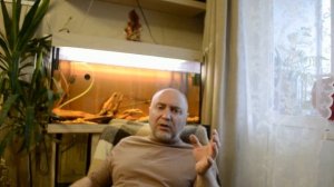 О первых часах и днях птенцов после инкубатора.Что им нужно?!