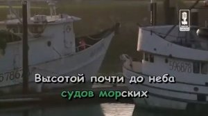 В порту, Спи моя радость усни - Детские песни караоке