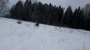 снегоход Икар 07.02.23г.