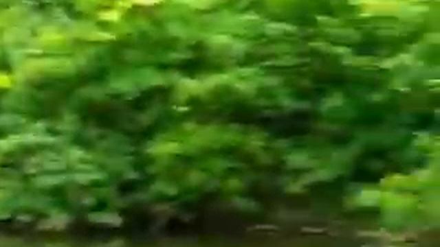 Пионерский лагерь "Звёздочка" смотреть онлайн