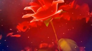 Танцы на розах (We dance on roses). Александр Эгромжан.