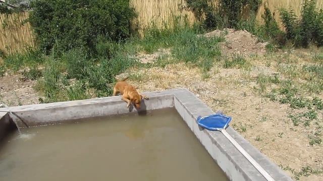 Если долго мучиться, что-нибудь получится