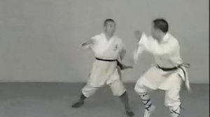 The 18 Movements of Shaolin