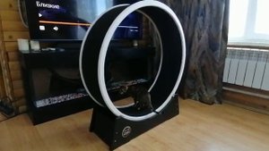 Беговое колесо для кошек и котов