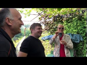 Дегустация Подмосковного винограда. В гостях у Алексея Калугина. 12.09.2020