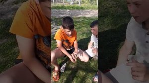 Приручение Ужа