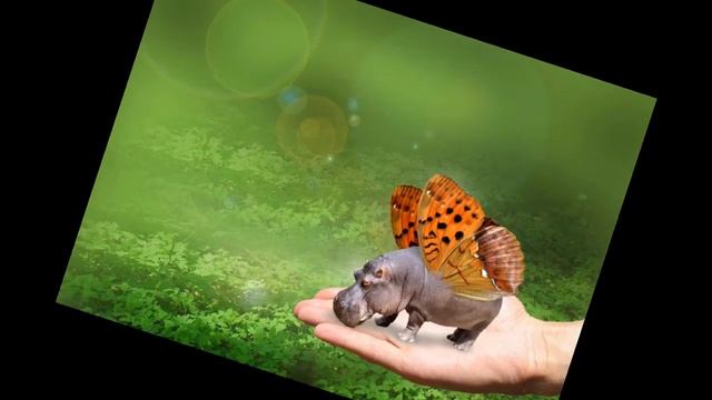 Песня о летающих бегемотах, стихи Тим Собакин, музыка Михаил Приходько, поёт Галина Пухова смотреть онлайн