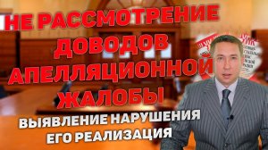 Не рассмотрение всех доводов апелляционной жалобы судом апелляционной инстанции. Отмена решения.