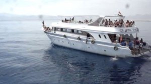 АКУЛА В ЕГИПТЕ, ХУРГАДА