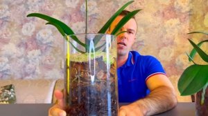 ЗАКРЫТАЯ СИСТЕМА для ОРХИДЕЙ спустя 2 месяца. ХОРОШИЕ и ПЛОХИЕ новости.
