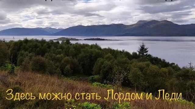 Лучший подарок на все случаи жизни. Прямо тут. смотреть онлайн