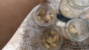 Горький перец ? на зиму, корейский рецепт.