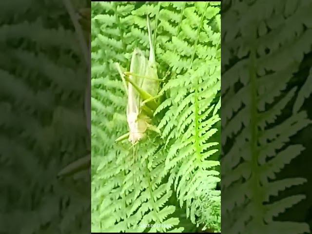 17 сентября 2023 г. смотреть онлайн