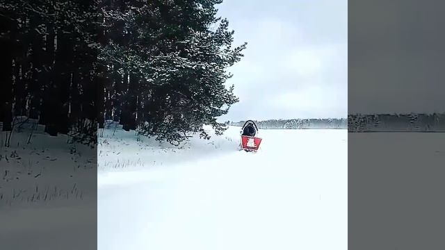 Зима,сани,лошадь,зорька,деревня, зимние прогулки