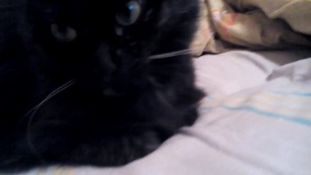 Наша Мотя после хорошего сна смотреть онлайн