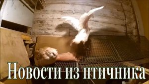Новости ЛПХ // Что нового? // Жизнь в деревне