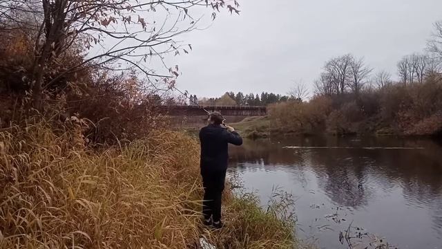 ТРАДИЦИОННАЯ ЕЖЕГОДНАЯ ОСЕННЯЯ РЫБАЛКА НА КОКШАГЕ!!! ТЕСТ НОВОГО УЛЬТРАЛАЙТ СПИННИНГА!!! смотреть онлайн