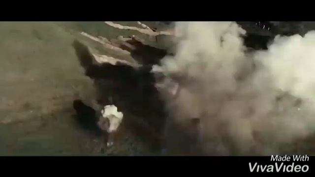 "Лежат на полке ордена..." / Авторское стихотворение /Читает АНАСТАСИЯ ДЕДОВА /Стихи ко дню Победы