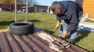 ЩУКА ХОЛОДНОГО КОПЧЕНИЯ# БАЛЫК ИЗ ЩУКИ#