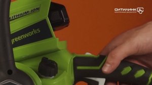 Обзор цепной пилы GREENWORKS GD24CSK2 | Ситилинк