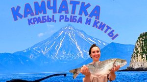 КАМЧАТКА. Морская рыбалка и встреча с китом!