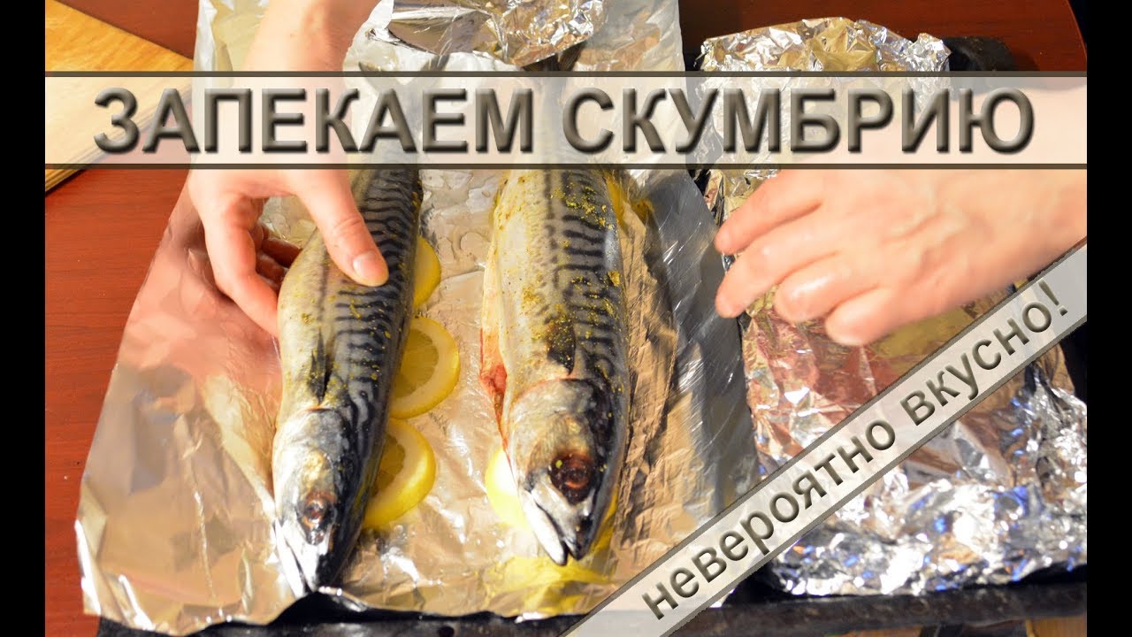 Скумбрия запеченная в фольге с лимоном: простой и вкусный рецепт приготовления скумбрии в духовке