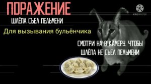 Рецепт пельменей от шлёпы карракалла много мяса
