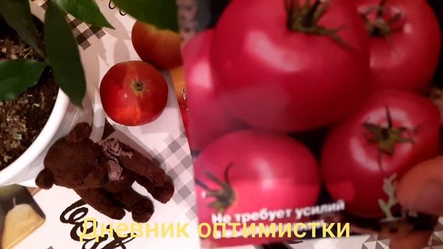Ранние томаты. Без теплицы, без пасынкования, легко ухаживать. Обзор семян ранних помидор
