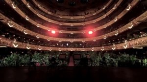 CONCIERTO PARA PLANTAS EN EL TEATRO LICEU DE BARCELONA.