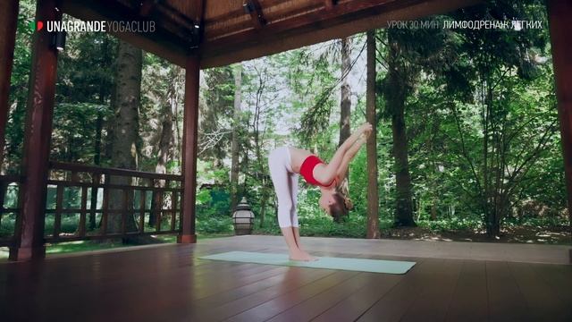 Лимфодренаж легких за 30 минут – Йога для начинающих.