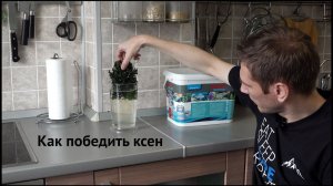 Как избавиться от ксенококуса. Лимонная кислота