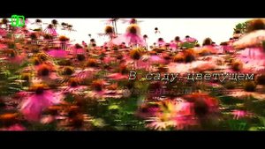 Просто Шикарная Новинка! Послушайте! Колибри!