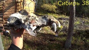 Сентябрь, Рыбалка, Сборы домой!!!