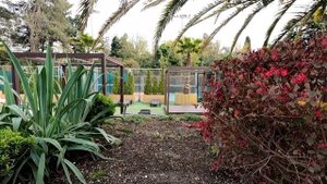 Бассейн в Отеле Жемчужина, с морской водой, тёплый в Сочи. #Отель_Жемчужина_бассейн #Сочи #Адлер